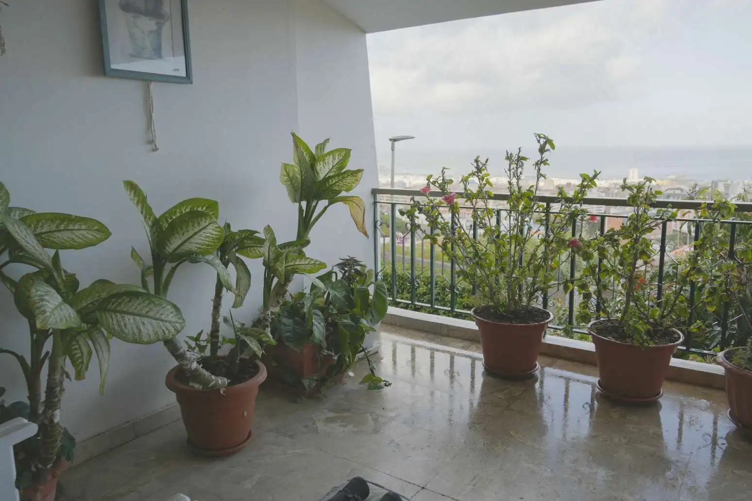 Terrassa de Casa o xalet en venda en Santa Cruz de Tenerife amb Aire condicionat, Terrassa i Traster