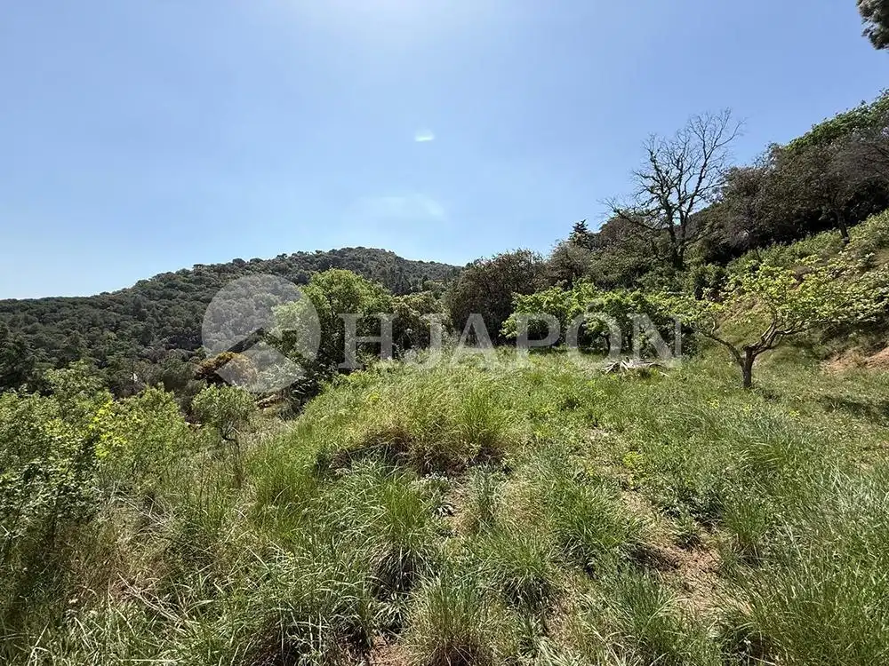 Terreny residencial en venda a Vallromanes, imagen 22