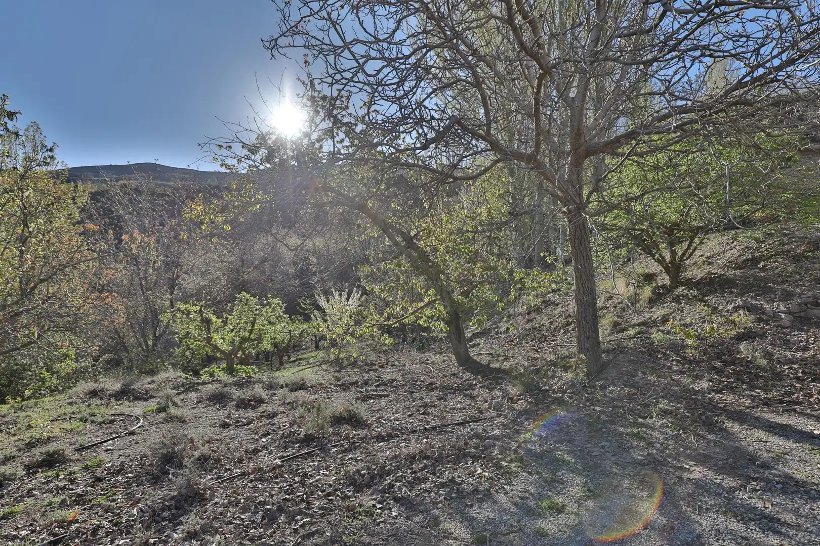 Casa rústica en venda a Dúrcal, imagen 36