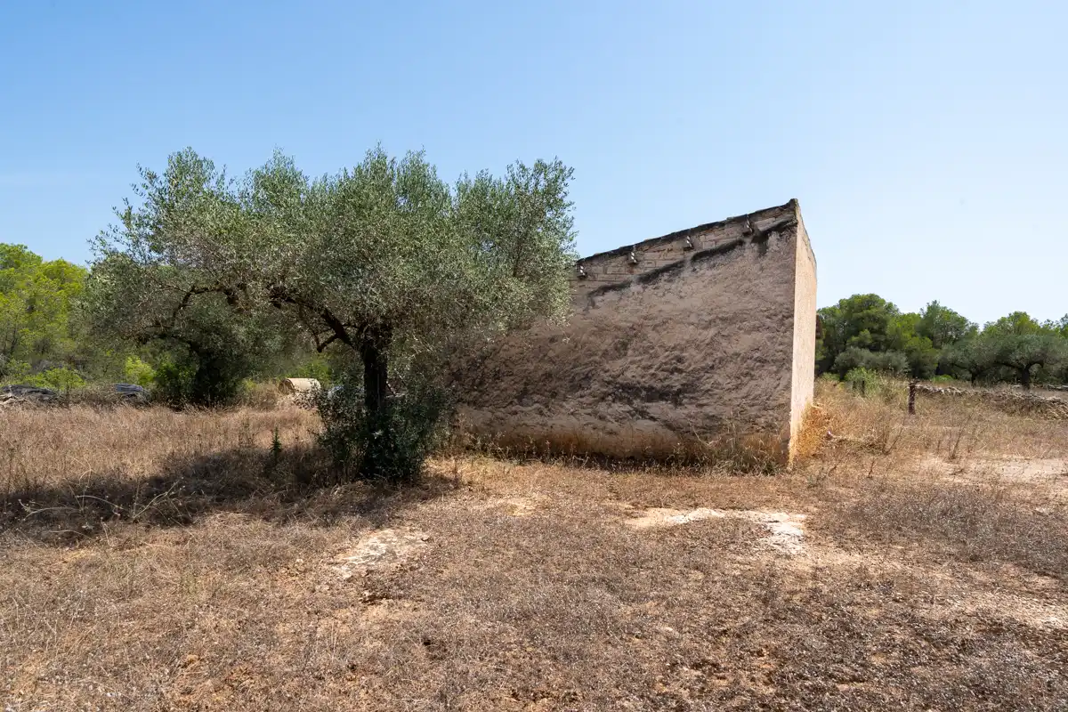 Rural land for sale in C-12 77, imagen 4