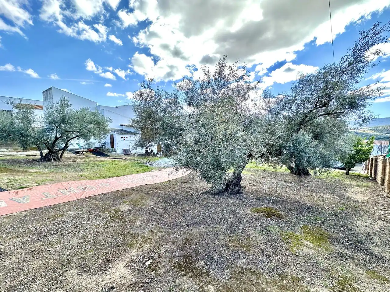 Casa amb jardí en venda a Villanueva de Algaidas, imagen 37