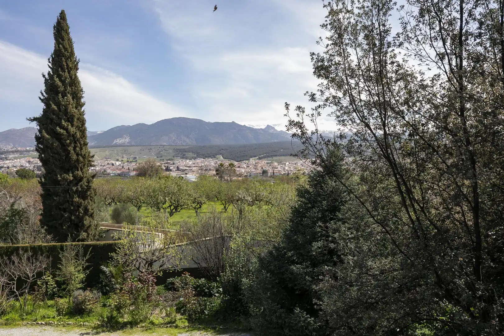 Dúplex en venda a Calle de la Iglesia, imagen 21
