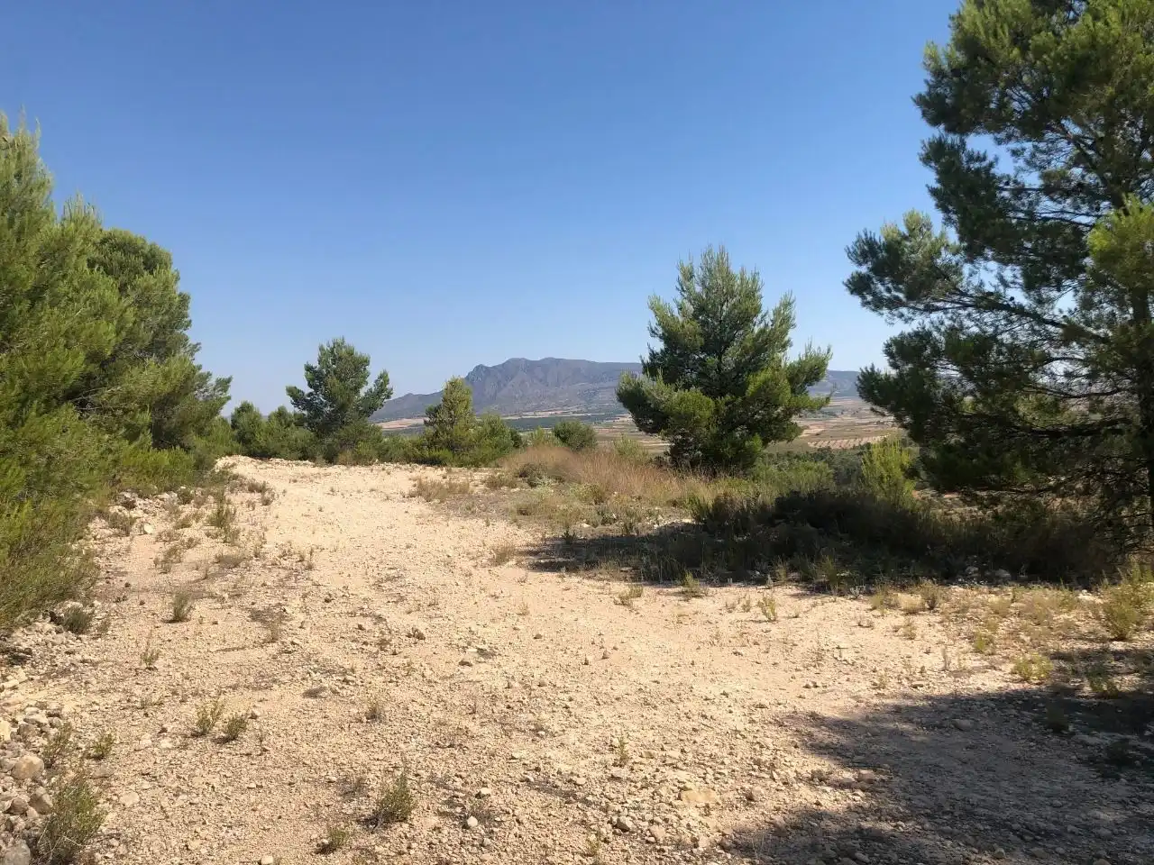Rustikales Grundstück zum Verkauf in Jumilla, imagen 6