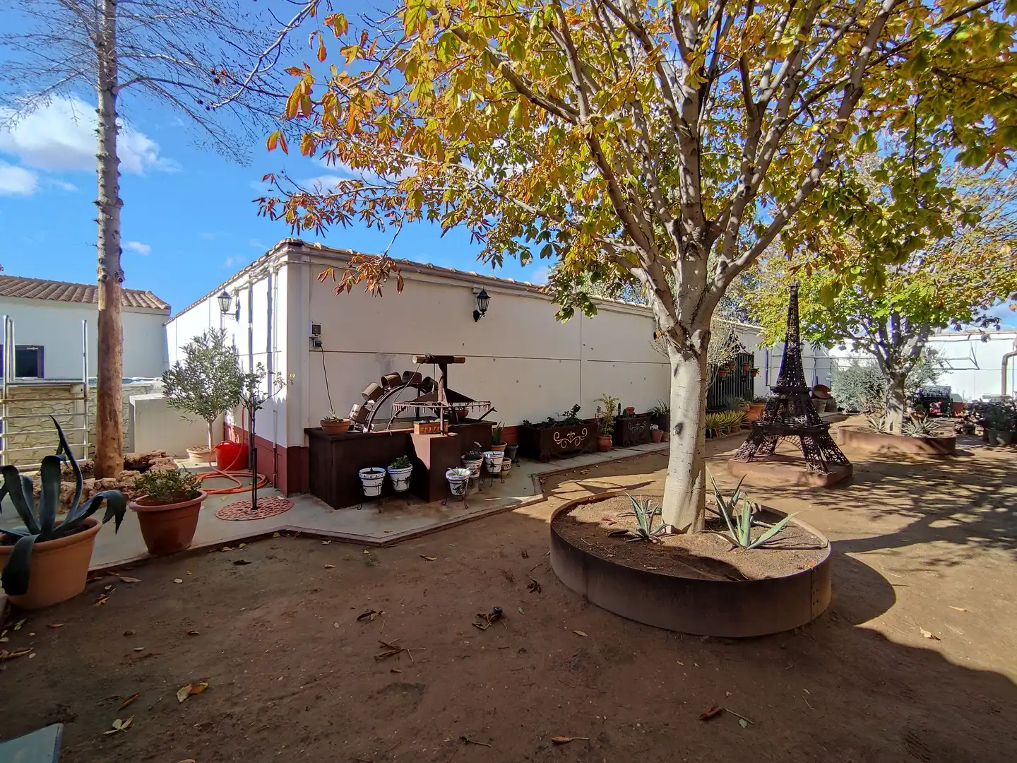 Jardín de Casa o chalet en venta en Pedro Muñoz con Aire acondicionado, Calefacción y Jardín privado
