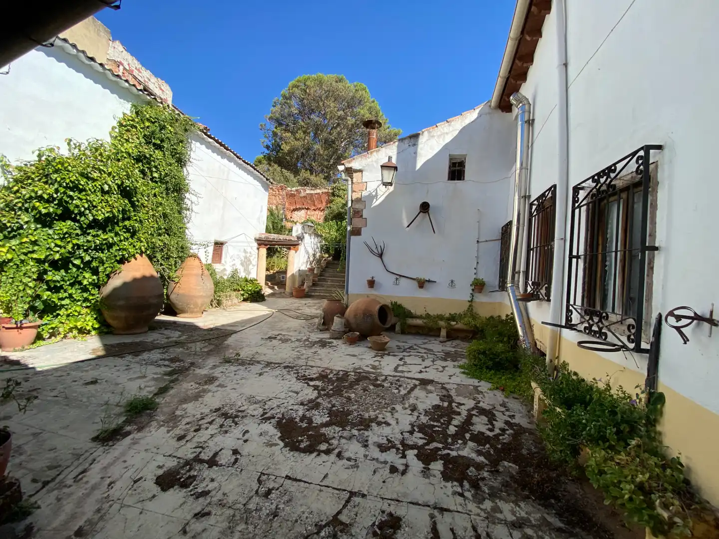 Vista exterior de Casa o xalet en venda en Alcaraz amb Calefacció, Jardí privat i Moblat
