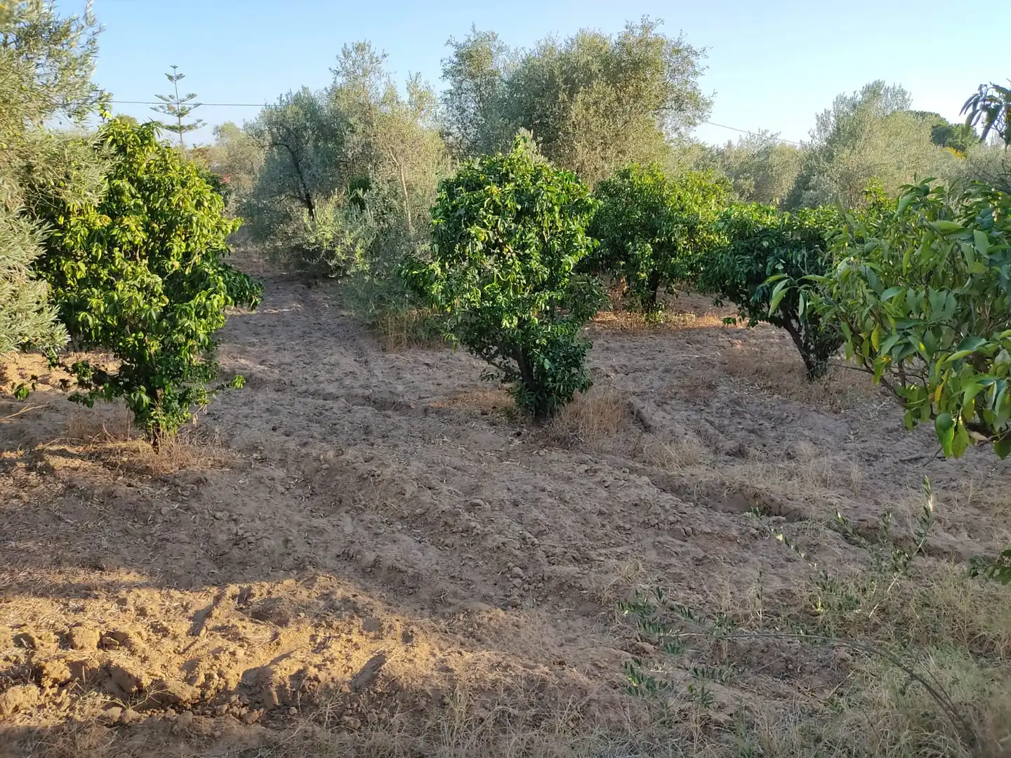 Casa o xalet en venda en Utrera amb Jardí privat i Piscina