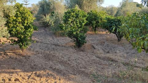 Foto 5 de Casa o xalet en venda a Pedanías Norte, Utrera