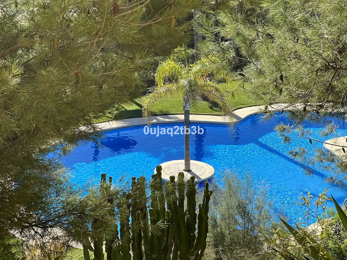 Piscina de Apartament en venda en Estepona amb Aire condicionat, Terrassa i Piscina comunitària
