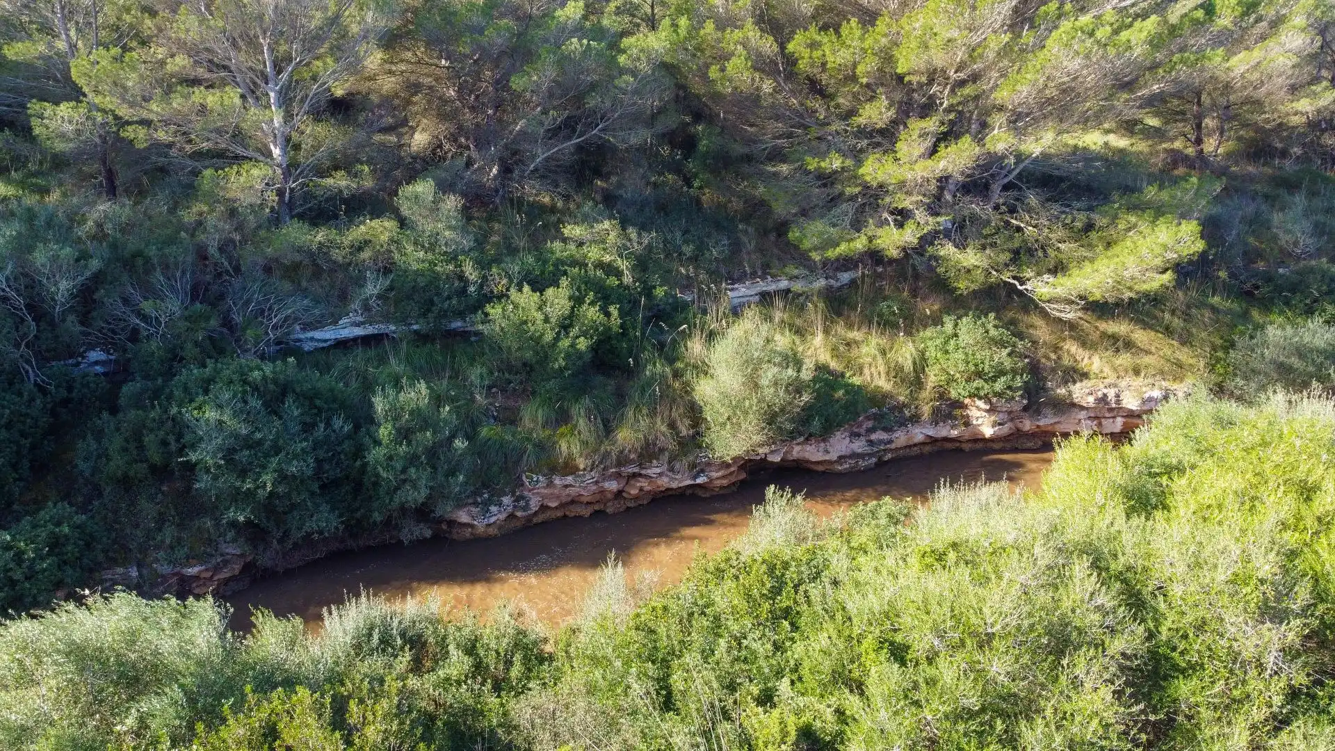 Terrenys i solars en venda a S'Estanyol, imagen 6
