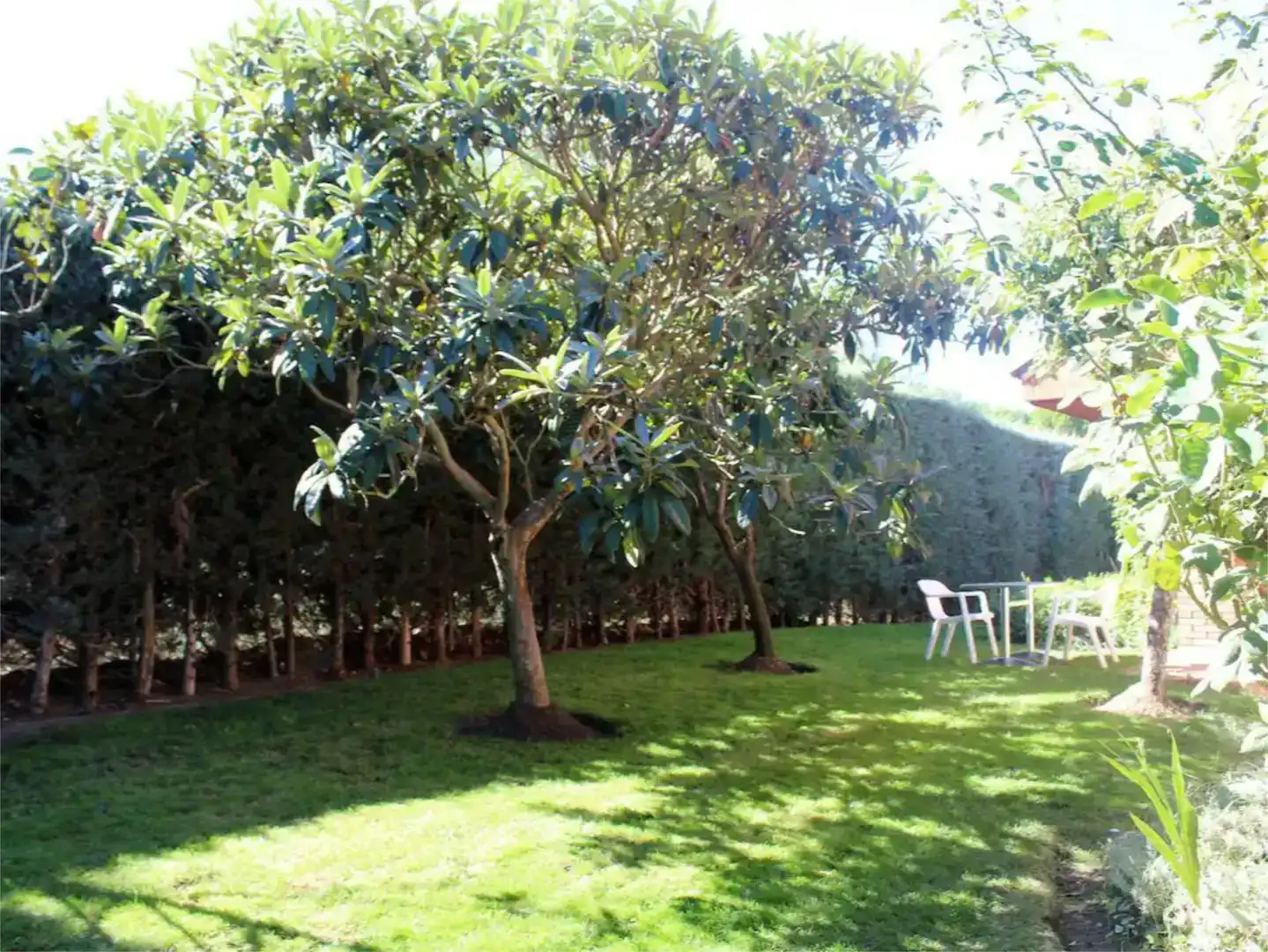 Jardí de Finca rústica en venda en Cartagena amb Aire condicionat, Jardí privat i Piscina