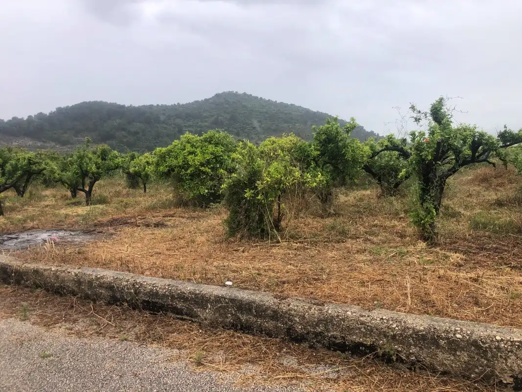 Terreny rústic en venda a Castelló de Rugat, imagen 12
