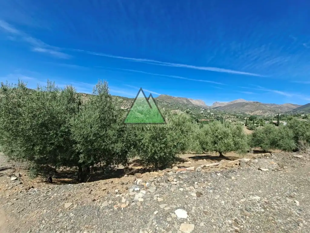 Country house for sale in Alcaucín, imagen 22