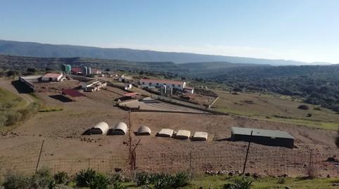 Foto 2 de Finca rústica en venda a  Almadén de la Plata, Almadén de la Plata, Sevilla