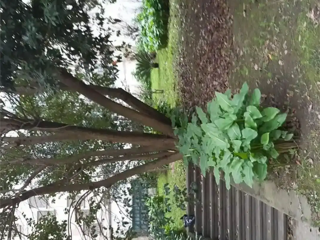 Jardí de Pis en venda en Bilbao  amb Jardí privat, Parquet i Balcó