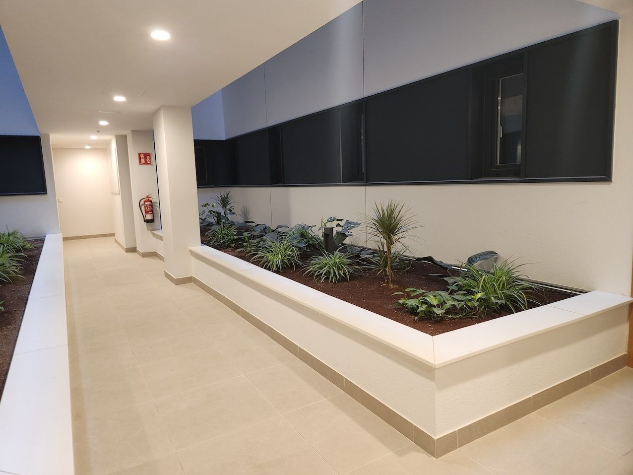 Flat to rent in Tamaraceite