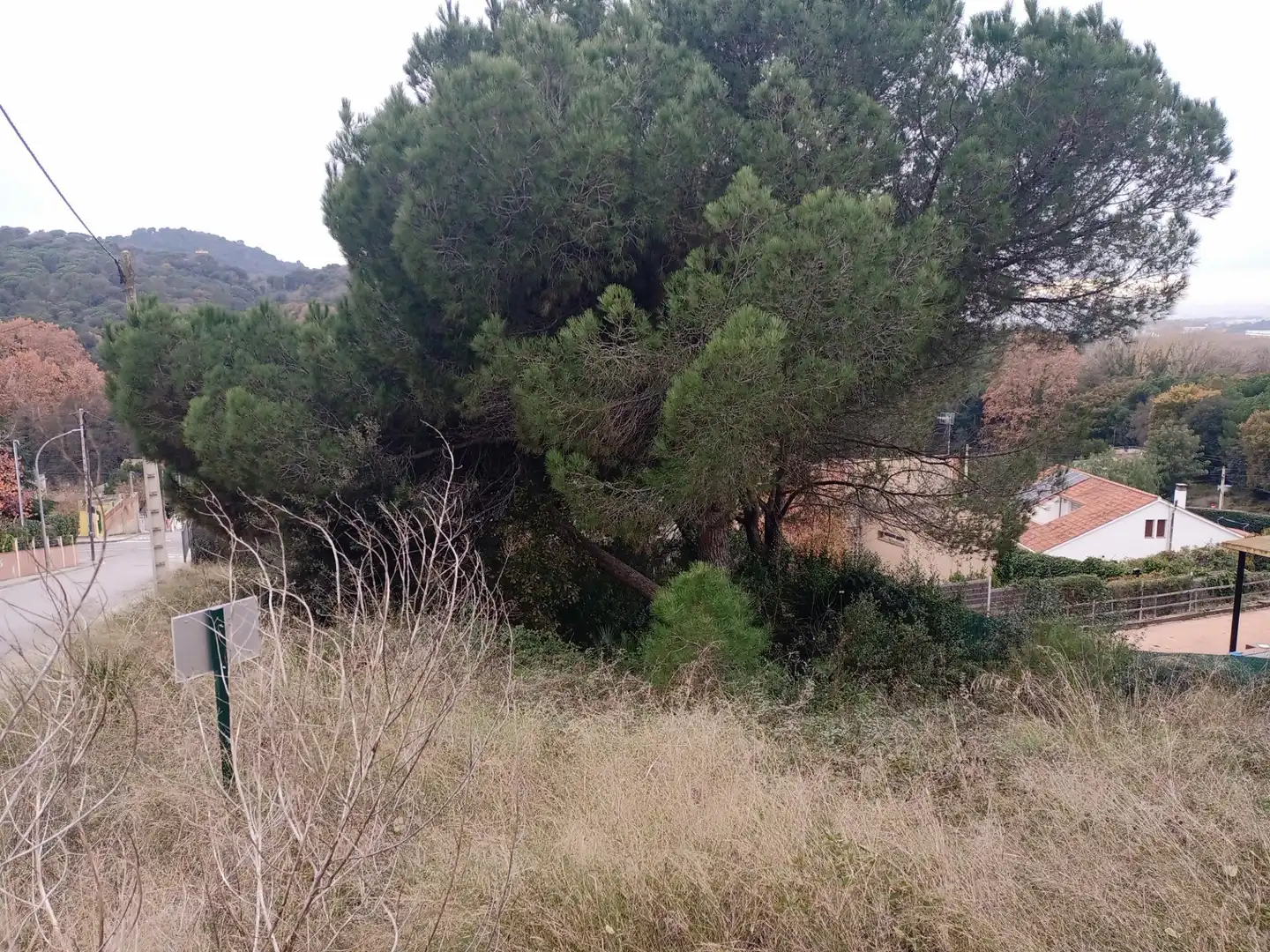 Terrenos y solares en venta en Carrer SALVIA, imagen 9