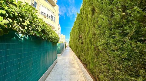 Foto 5 de Apartamento en venta en Calle Marcelina, 80, Nueva Torrevieja, Torrevieja