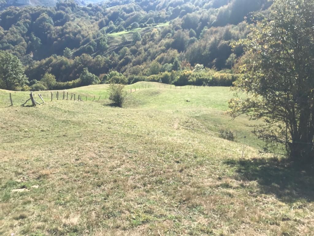 Grundstücke zum verkauf in Vega de Liébana