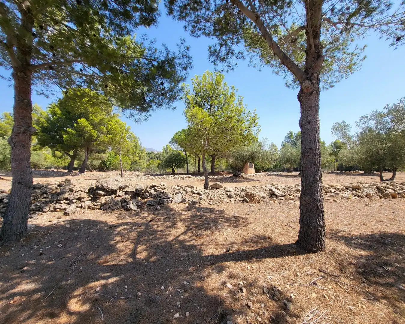 Landhaus mit Garten zum Verkauf in L'Ametlla de Mar pueblo, imagen 50
