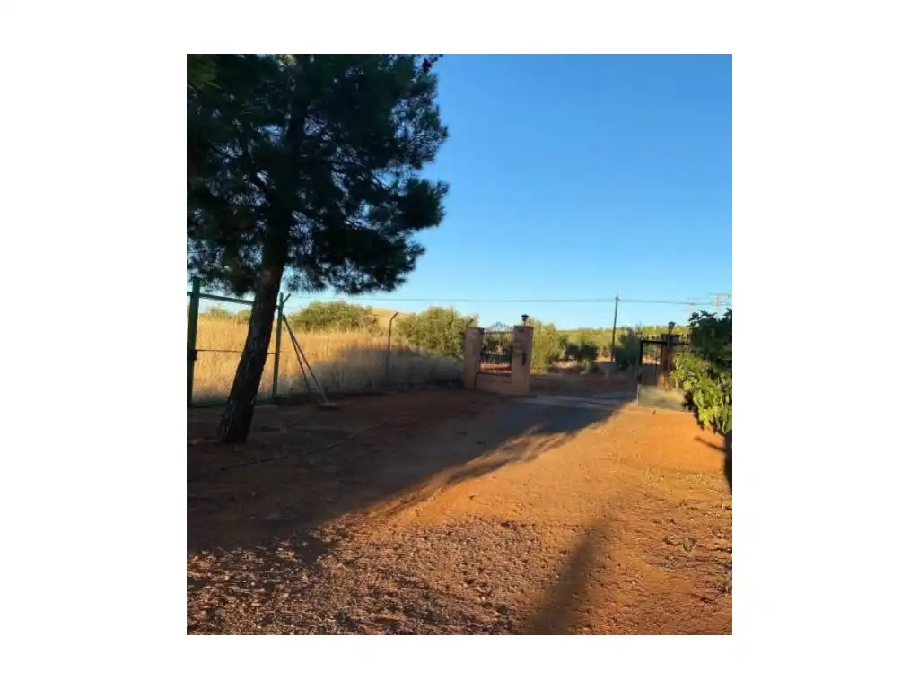 Xalet en venda a Granátula de Calatrava, imagen 8