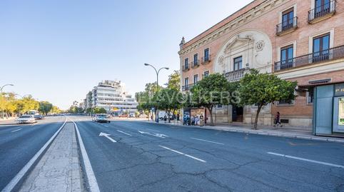 Foto 4 de Casa o xalet de lloguer a Alfalfa - Santa Cruz, Sevilla