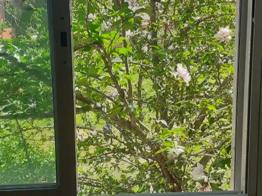 Adosado con piscina en venta en Paseo de las Perdices 9, imagen 18