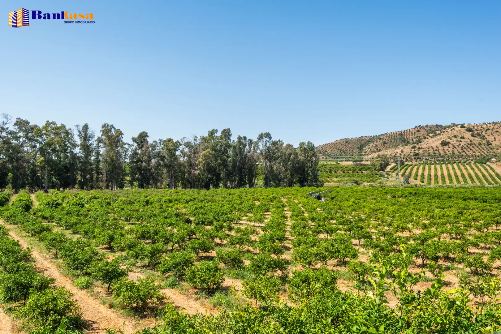 Vista exterior de Terreno en venta en Pizarra