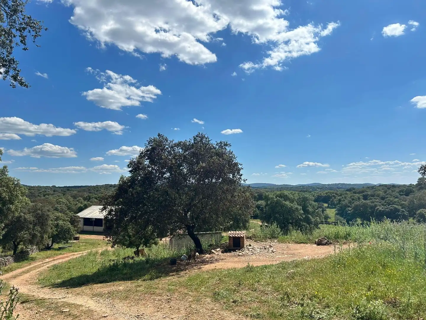 Finca rústica en venta en Alanís