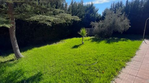 CHALET CON GRAN COCHERA, PISCINA Y 170 OLIVOS, imatge 2