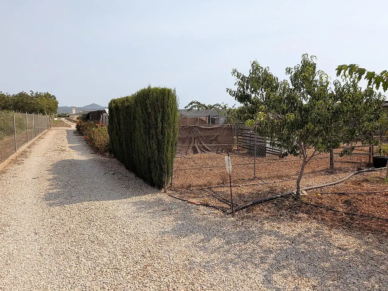 Finca rústica en venda en Vinaròs amb Terrassa i Piscina