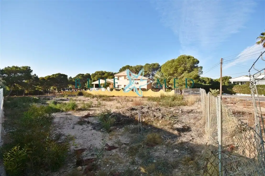 Lands and plots for sale in Calle Paralelo 5, imagen 9
