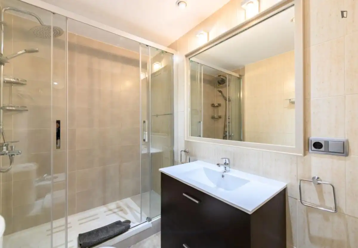 Bathroom of Apartments for rent in Madrid  with Air Conditioner, Heating and Furnished