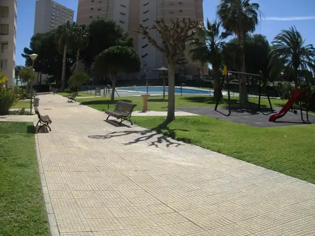 Swimming pool of Apartments for rent in El Campello  with Heating, Terrace and Furnished