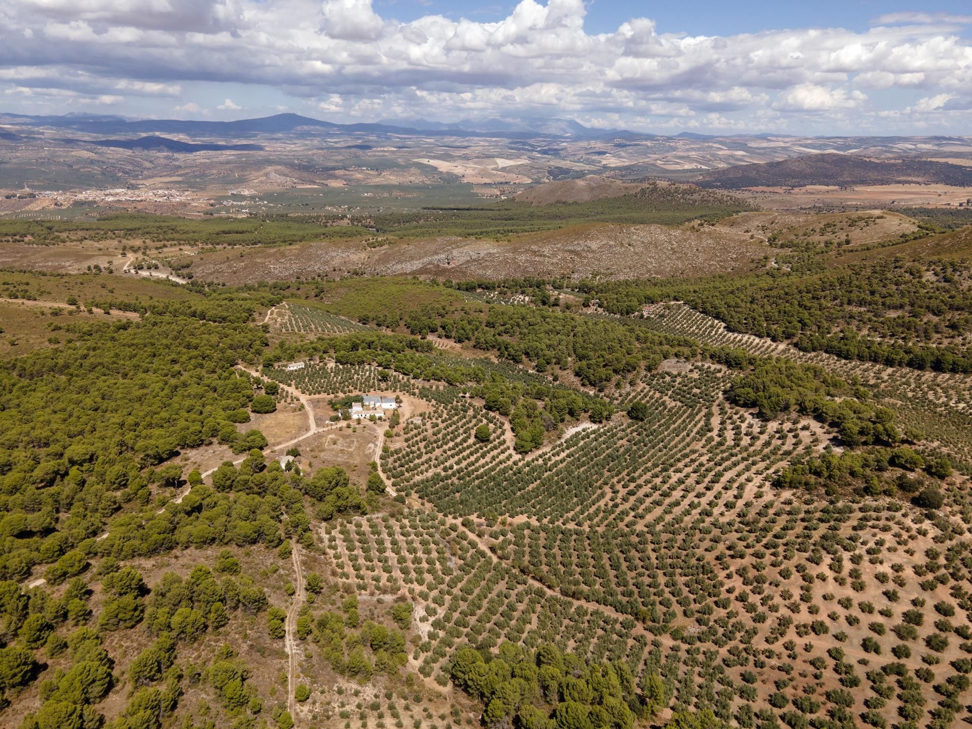 Country house zum verkauf in Iznalloz