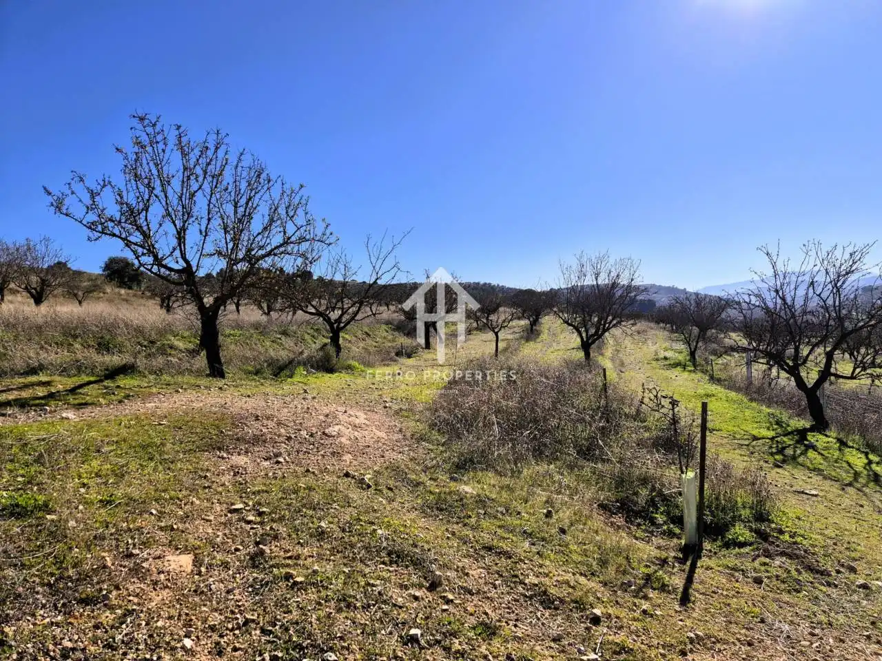 Terreni e lotti in vendita a Alhama de Granada, imagen 18