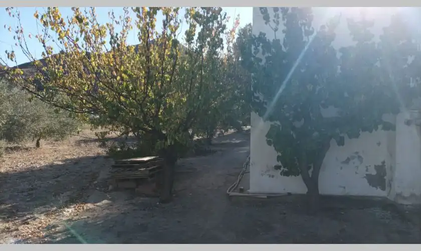 Casa con jardín en venta en Calle los Molinas, imagen 10