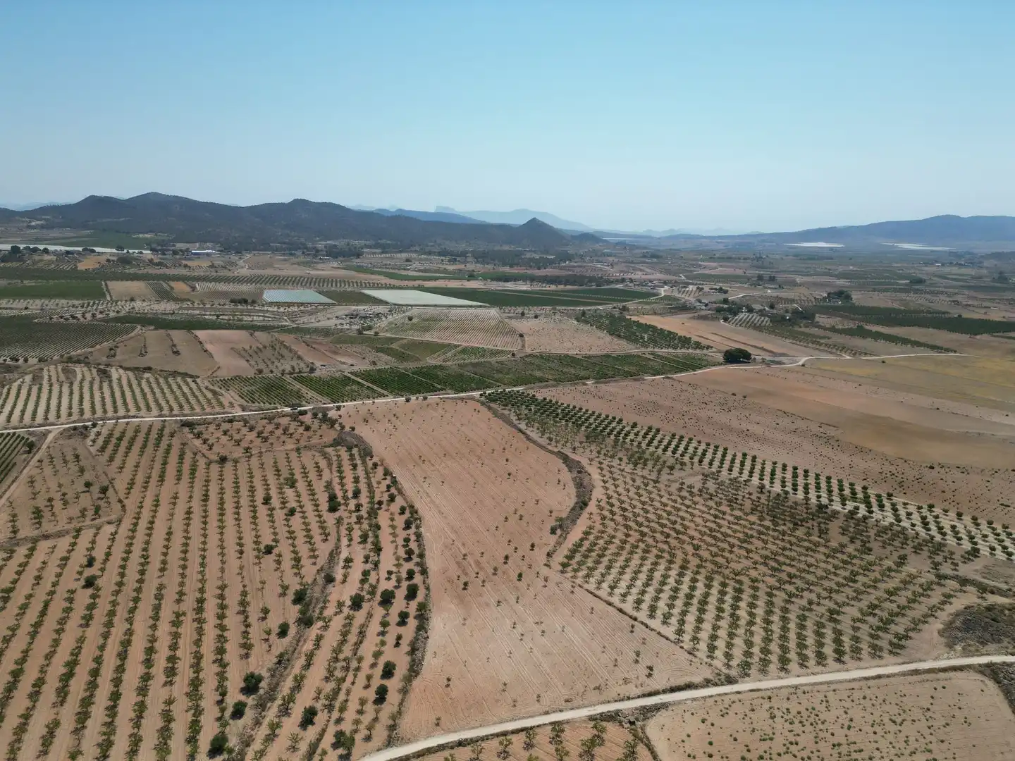 Terreno residencial en venta en El Pinós / Pinoso, imagen 10