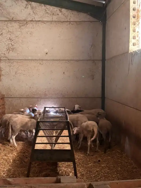 Vista exterior de Finca rústica en venda en El Saucejo amb Aire condicionat, Calefacció i Moblat