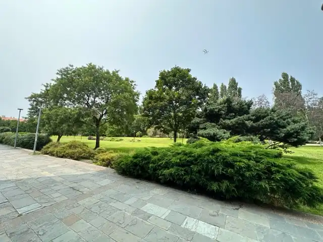 Jardín de Oficina de alquiler en Santiago de Compostela  con Alarma