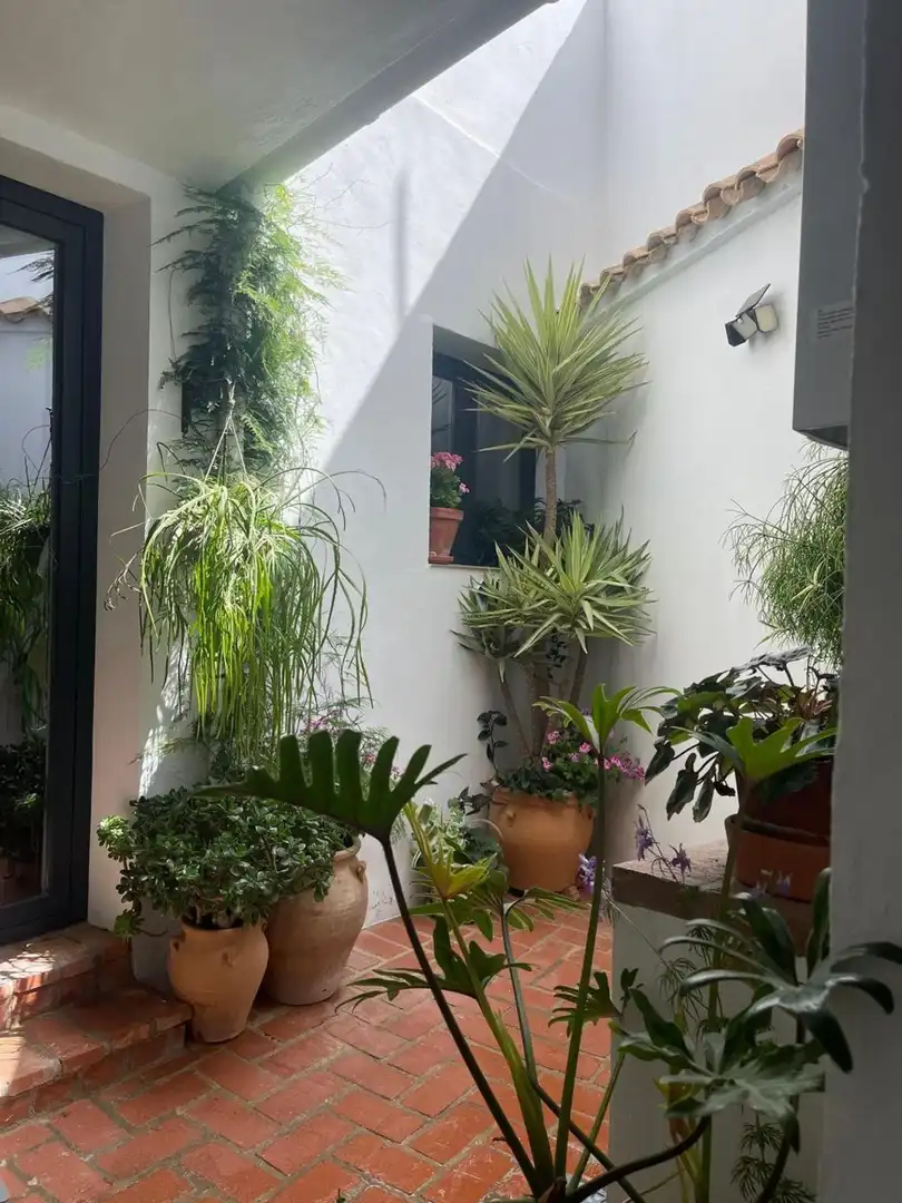 Jardín de Casa o chalet en venta en Zuheros