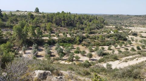 Finca Rúst. en venta en Castelldans., imatge 2