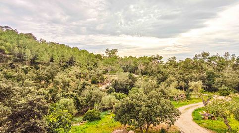 Foto 4 de Finca rústica de alquiler en S'Horta - Cas Concos des Cavaller - Es Carritxó, Felanitx