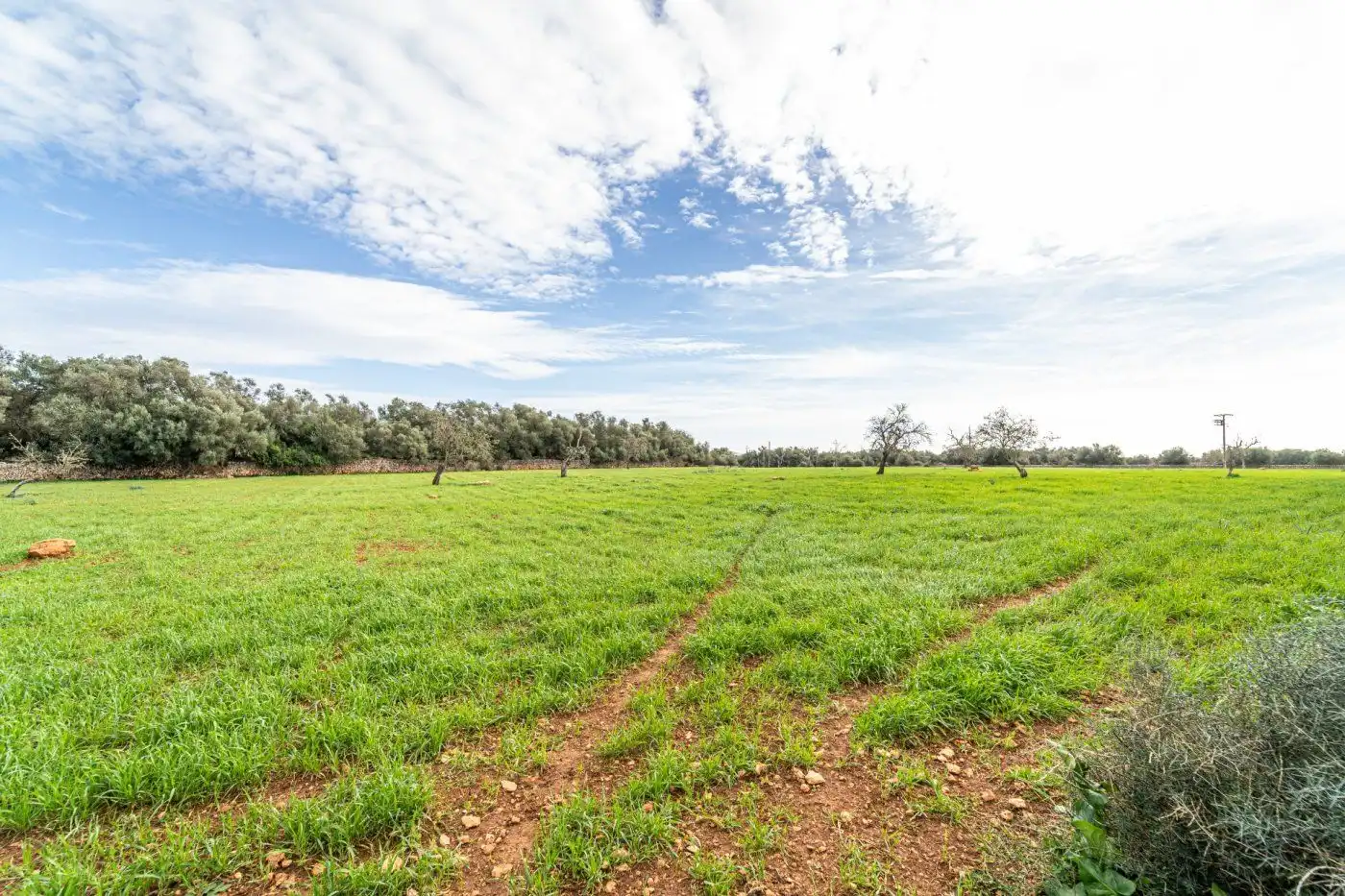 Residential land for sale in S'Horta - Cas Concos des Cavaller - Es Carritxó, imagen 31