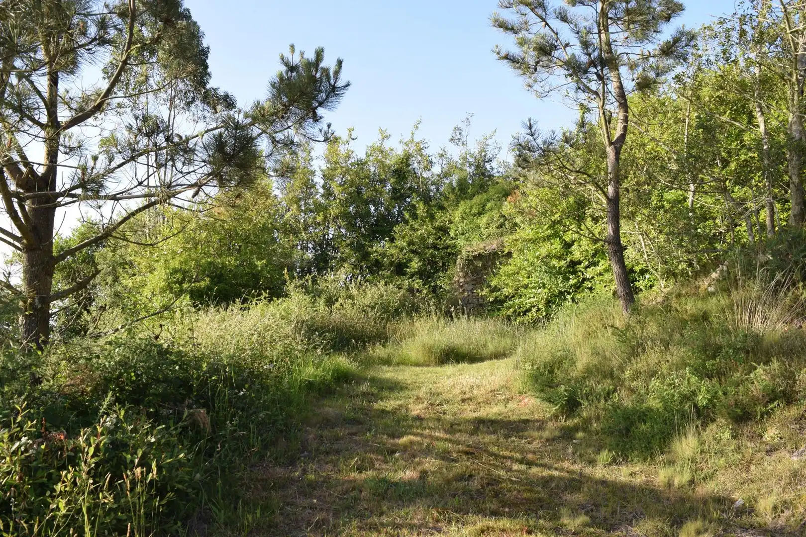 Casa o chalet en venta en Cudillero