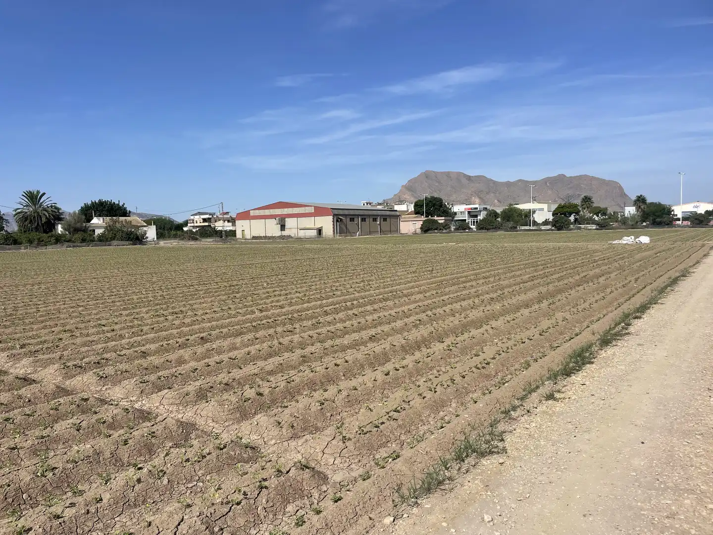 Grundstücke zum Verkauf in Orihuela
