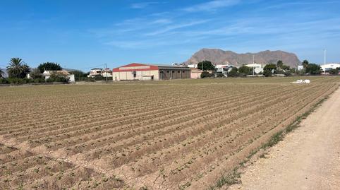Photo 4 of Land for sale in Carretera de Almoradí, 14, Molins - Campaneta - San Bartolomé, Alicante