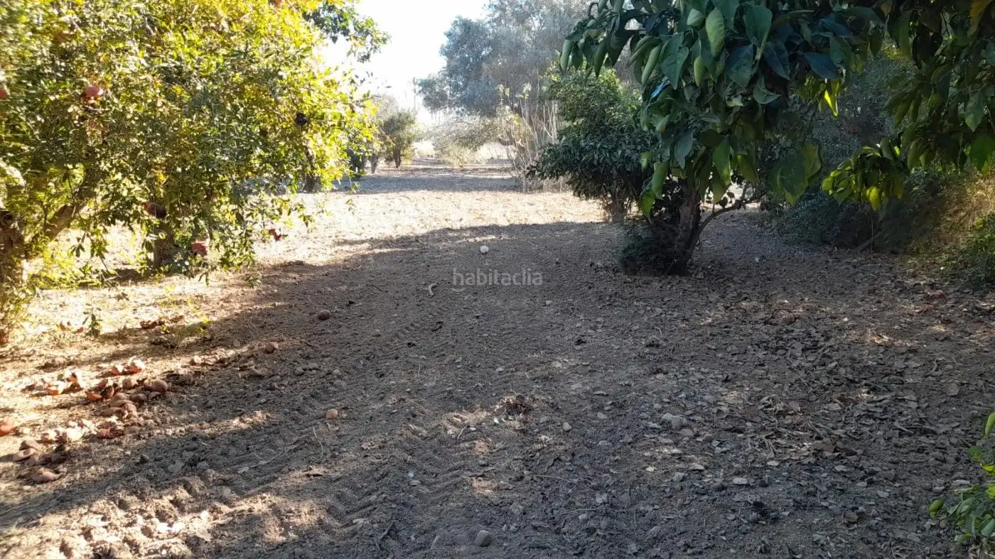 Terreni e lotti in affitto a Avenida de San Javier 29D, imagen 13