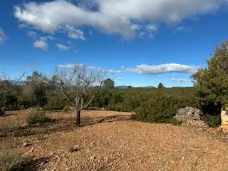 Terreno rustico in vendita a Cabanes, imagen 7