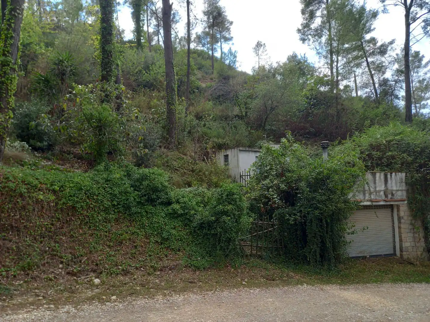 Terreno rustico in vendita a Piera, imagen 5