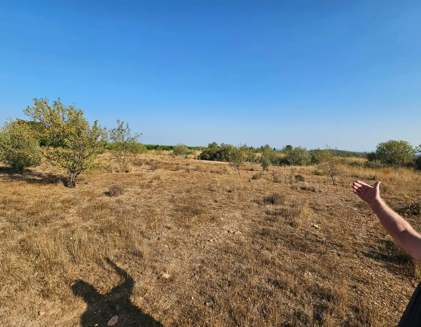 Terrain rustique à vendre à Urbanizaciones, imagen 13